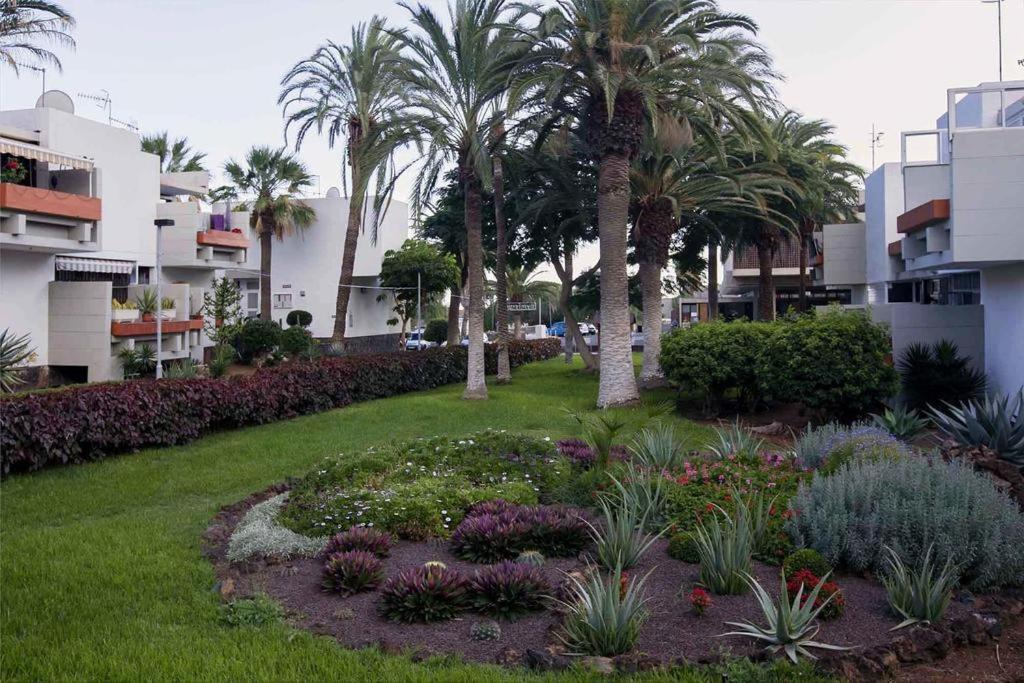 Apartament Frontera-Primavera Appartement Costa Del Silencio Buitenkant foto